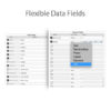 Get flexible data fields, change captions or define 10 Optional Fields, data type with Icard Xpress