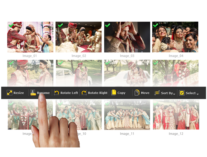 Manages your Photos effectively Rotate, Resize, Sort, Select, Copy & Move with Album Xpress Pro